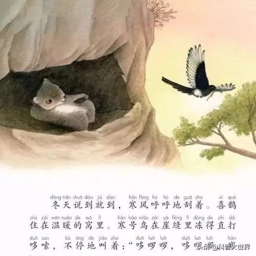 红白鼯鼠:全家人想去三亚旅游，行程应该如何制定有哪些攻略推荐