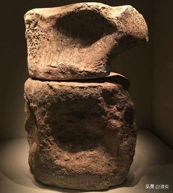 安阳殷墟曾经出土一块「鲸骨」,河南地区为什么会有鲸鱼?