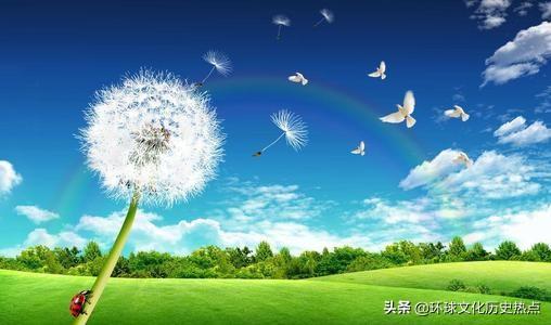 蒲公英为什么,蒲公英这两年网上传的特别火，真正火起来的原因又是什么呢？