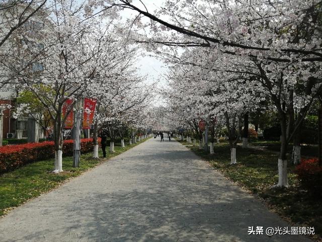 上海衡山路裸拍:上海有什么鲜为人知但很有意思的景点？