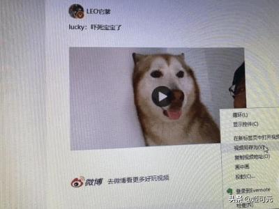 新浪视频怎么下载;酷狗视频免费下载安装