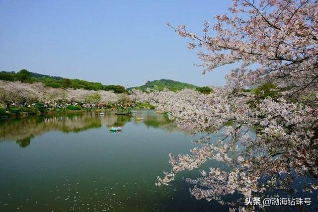 2019观鸟大年七月优秀作品集:大家觉得武汉是一个什么样的城市，这个城市有哪些旅游景点？