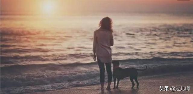 安犬:声色犬马，各安天涯什么意思？