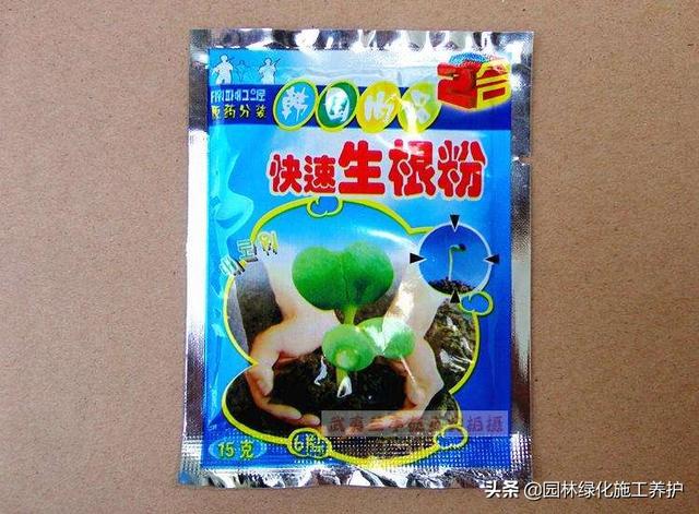 观叶植物营养液花之侣:绿萝黄叶有什么好的营养液吗？