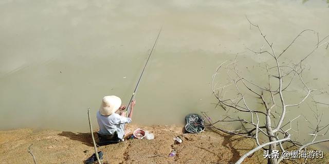 亳州短脚长身梗犬多少钱一只:夏天天热，钓鲢鳙应该钓深还是钓浅？