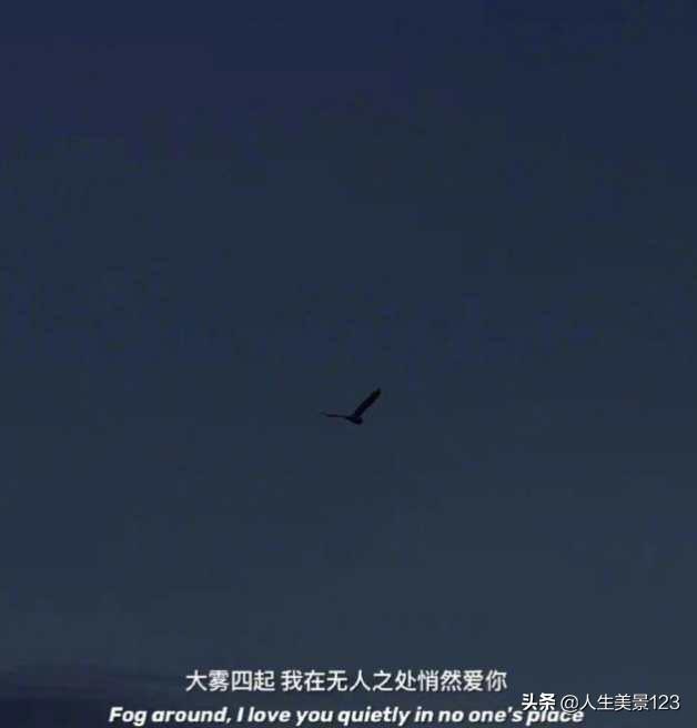 头条长期没有收益，你会感到焦虑吗