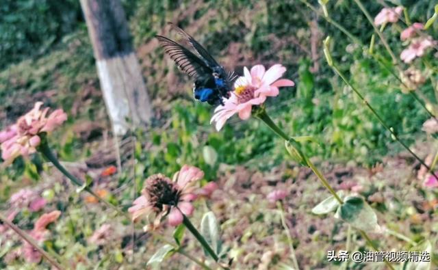 宋茜演过的电视剧:宋茜演技不咋为什么能接演那么多影视作品？