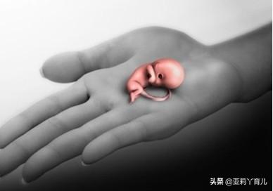 张帝简介:人工流产的危害都有什么？