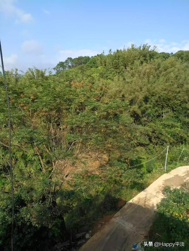 风水与八字百例廖咸萍,农村真的没有挣钱的路子吗？