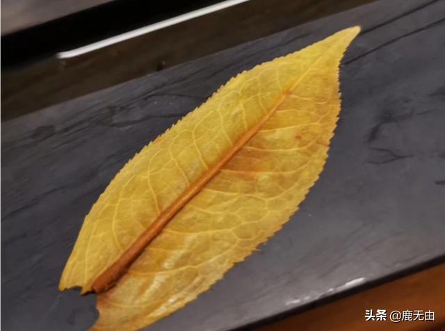 袋泡茶制作工艺流程范文,普洱茶的生茶制作工艺是什么？如何品鉴？