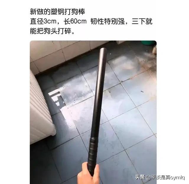 女子虐狗图片:内蒙古一女子遛狗时爱狗被害，竟遭到割头剥皮，你怎么看这事？