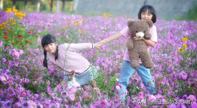 八公犬物语在线观看:摄影“尼康”党们，是什么原因让你当初选了尼康？