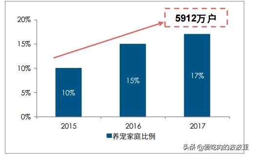 宠物训练项目前景如何，宠物食品行业怎样？前景如何？