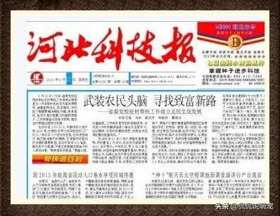 头条问答 狗狗吃了洋葱会怎样 侃侃说萌宠的回答 0赞