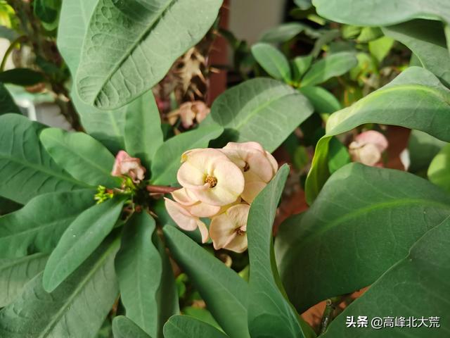 头条问答 职场中 一些男上司为什么容易和女下属产生暧昧关系 职业女性应该如何避开男上司的骚扰 102个回答