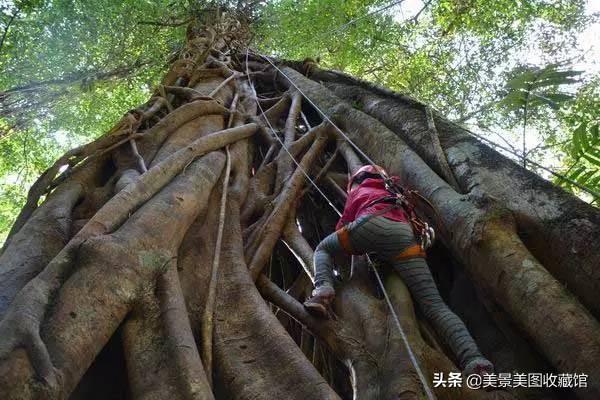 通海秀山一小灵异事件:五一小长假，云南哪些地方适合亲子游，自驾游？友友们分享下？