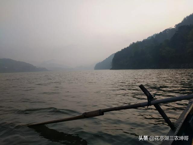 十字花科蔬菜软腐病:十字花科蔬菜软腐病和菌核病的区别 为啥白菜、娃娃菜、生菜、甘蓝会不包心，干烧心，怎么治？