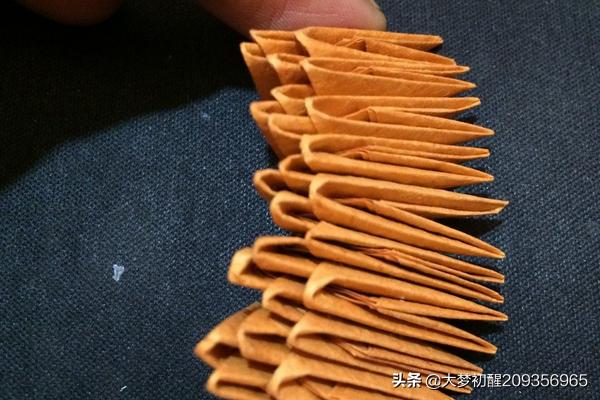 狗狗教程:训狗教程：正确训练狗狗的技巧？