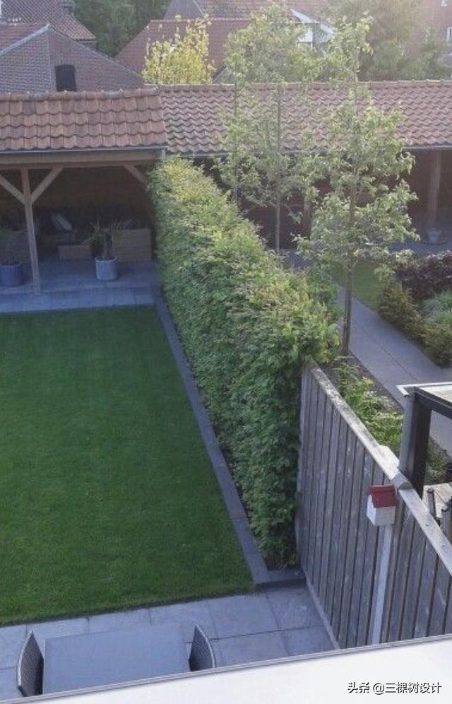 怎么做院子围墙又便宜又好看？插图98