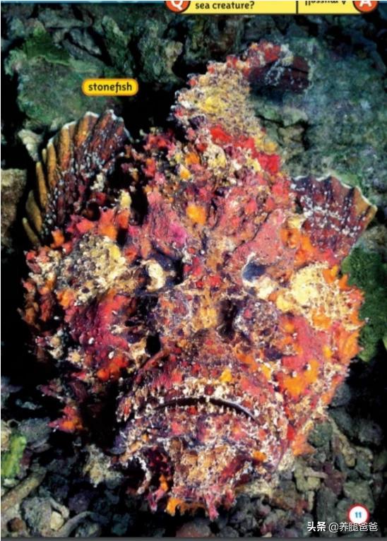 科普中国官网,有没有介绍自然现象的科普绘本推荐？