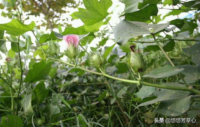 经典民间故事大全:有没有什么好玩的民间故事？