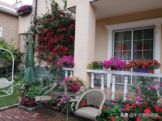 家住别墅是什么样的感觉？插图23