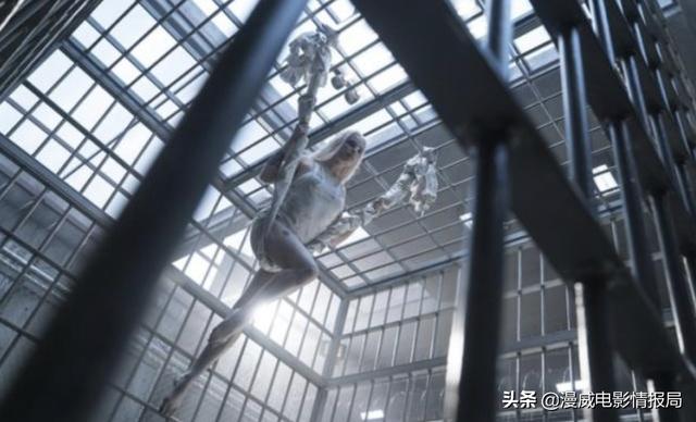小丑女的老公是谁:哈莉·奎茵（小丑女）为什么会疯狂爱上小丑