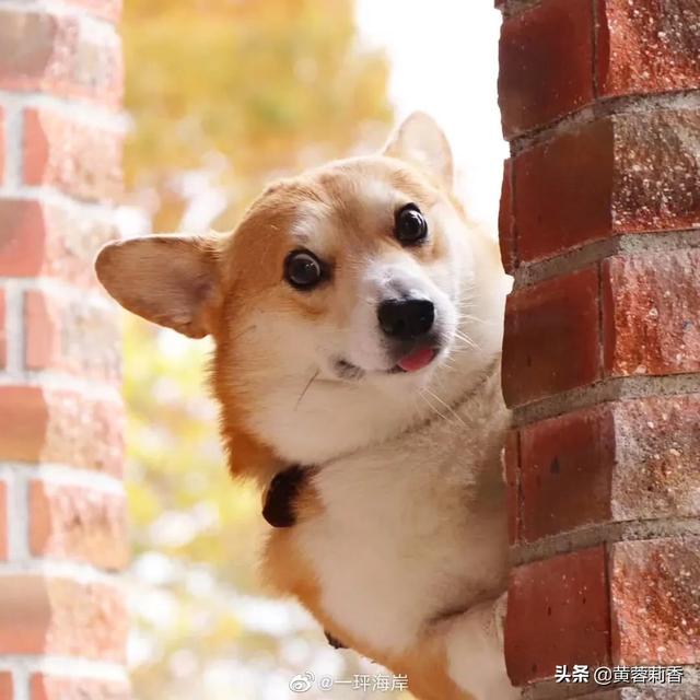 有哪些副业适合大学生做？