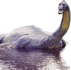 真正的水怪图片，喀纳斯湖水怪到底是什么动物