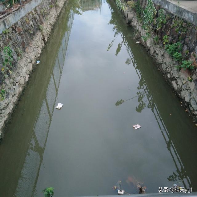 苍蝇太多怎么消灭最好:饭店苍蝇太多怎么消灭最好 农村院子里苍蝇很多，怎么长期驱逐？或者消灭？