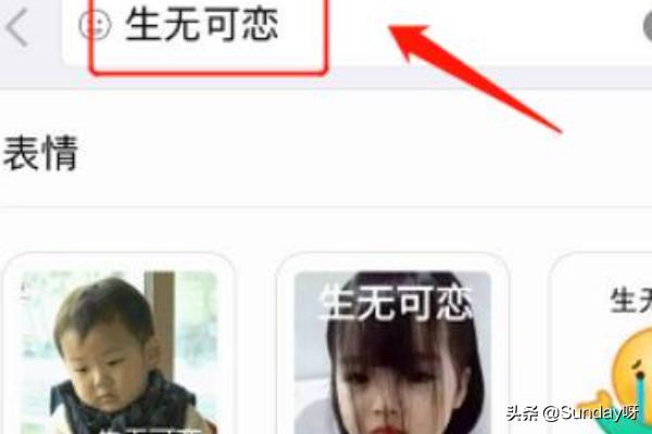 微信里哪里可以搜索表情包