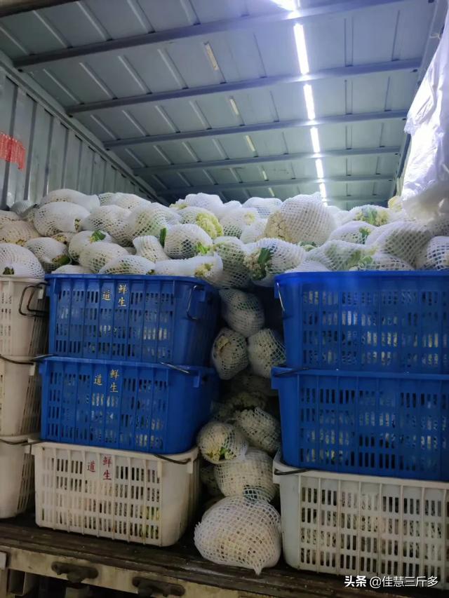 今年种植什么蔬菜能挣钱？
