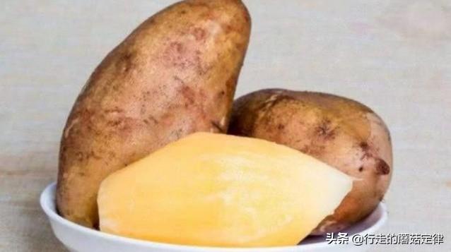 壮阳果也叫野山红，有一种跟红薯很像的水果吧，可以直接吃的我想知道叫什么？