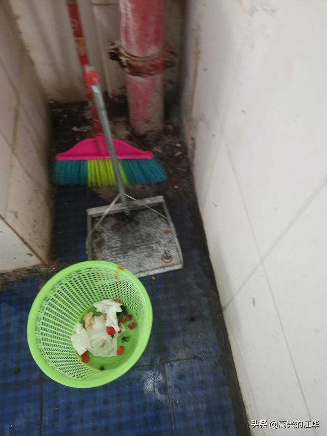 蟑螂粉:有什么办法，除去家里的蟑螂？