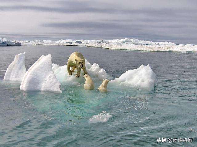 头条问答 - 北极海冰或15年内消失北极海冰融化超预期全球气候变暖怎