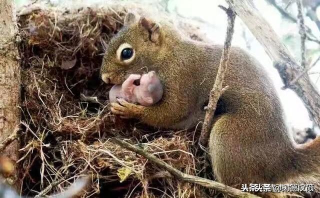 2020庚子易经预言:农历甲子循环福祸有没有科学依据