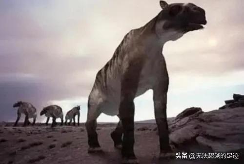 已经灭绝了的颜色，神农架曾出现“驴头狼”，50万年前的灭绝物种，为何再度现世