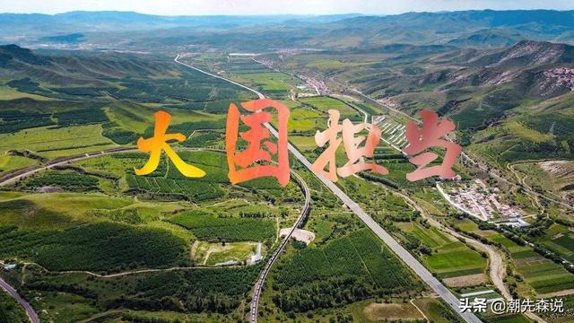 北京确诊肺鼠疫新京报:此次大规模的“鼠疫”引起的“肺炎”，为何不请教日本专家？