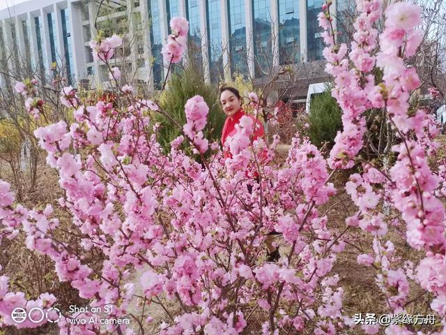 杭州现实版樊胜美:现实版的樊胜美该怎么办？