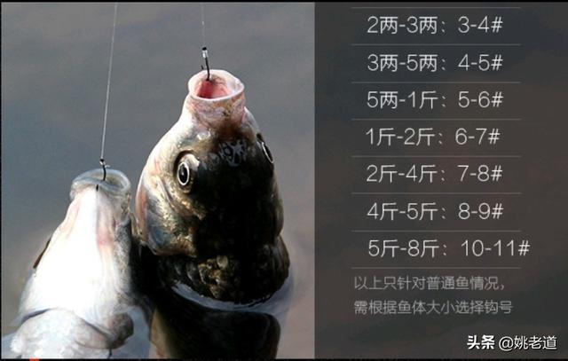 霸王刺皮鱼钓鱼熟练:钓鱼第一下为什么要猛拉？