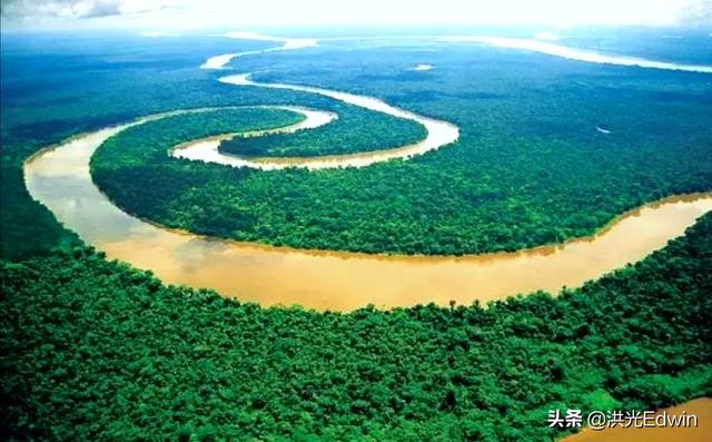 水蚺吞巨型凯门鳄:巴拉圭凯门鳄大战黄水蚺 为什么有人说亚马逊雨林是人类禁区？到底有多恐怖？