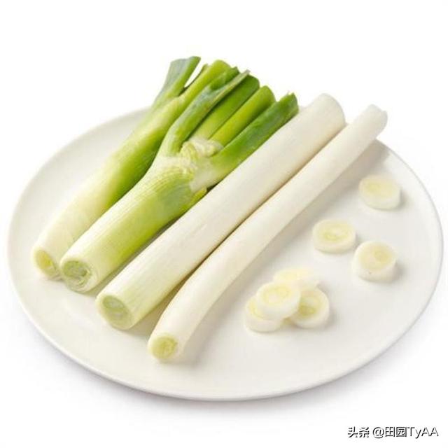 头条问答 - 家里蹲,一根葱.怎么拍好看?切段还是切片?怎么布光,布景?