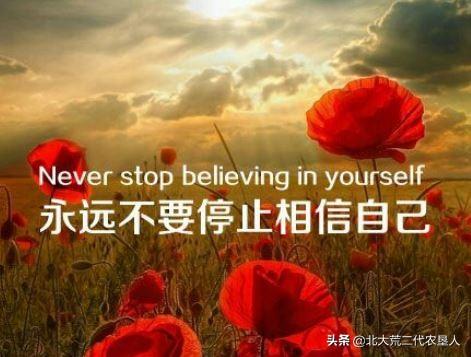 南美林猫的微博:经历过哪些事情比电视剧还要离谱，还要精彩？