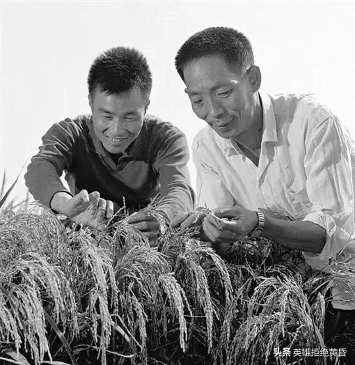 段小洁:袁隆平的弟子谁的成就最高？能接过袁老去世后留下的重任么？
