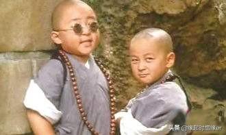 岳菁蔚年龄:释小龙拍过多少部电影能推荐几部经典的吗