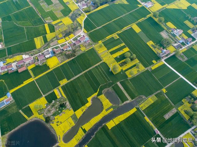 长江中下游发现真龙，长江流域的崛起：中国的南北差异从何而起