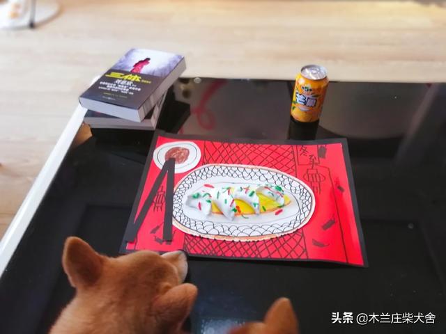 宠物餐具问卷调查:宠物狗食盆材质如何选择？