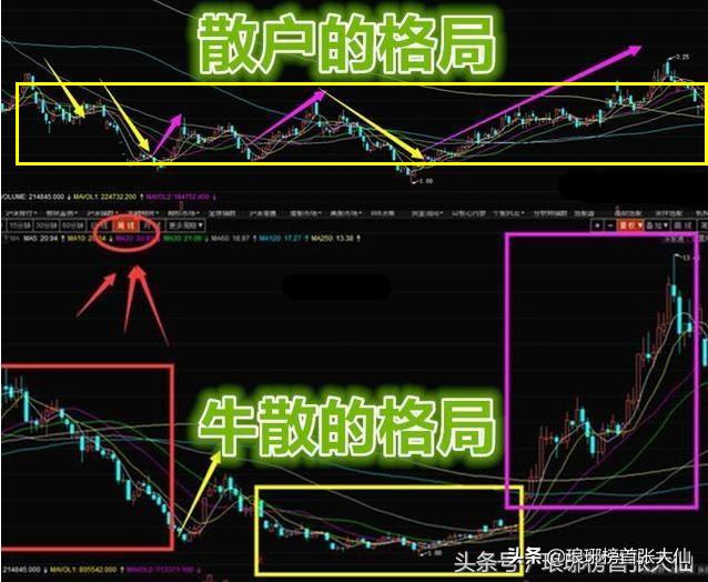 高手解玄机图_跑狗社区:彩票这东西全靠运气，对于这种说法你怎么看？