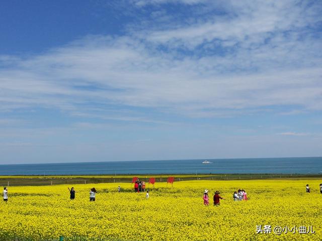 歌手林萍:为什么广东乐坛曾经风靡一时，如今好像没有多少知名歌星了？