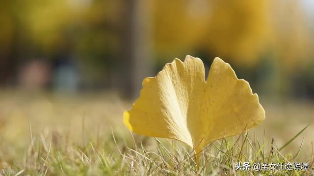对于过去,对于感情,该怎样释怀？